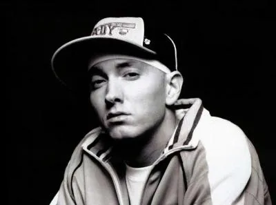 Le chanteur Eminem s'est autoproclamé "roi du hip-hop".