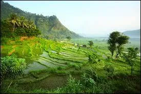 En 2015, qui préside ce pays ?