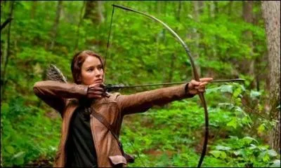 Pourquoi sont maudits les amants du district 12 ?