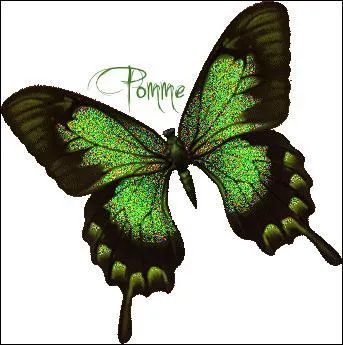 Textile. Appareil faisant dégorger les étoffes trop chargées en teinture :