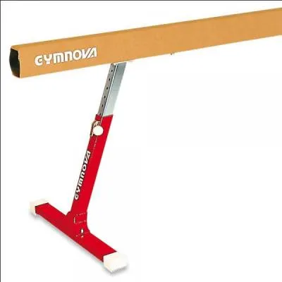 Quel est cet agrès ?