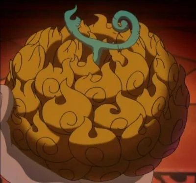 Qui possède actuellement le pouvoir du Mera Mera no Mi ?