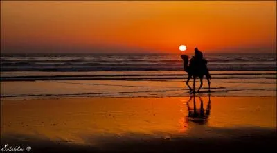 Que symbolise, d'après son étymologie, le Maghreb ?