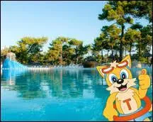 Qui surnomme-t-on Dragibus ?