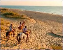 Qui s'occupe du club d'&eacute;quitation proposant de magnifiques balades &agrave; cheval au coucher du Soleil, sur la plage ?