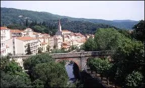 Où se situe la ville thermale d'Amélie-les-Bains-Palalda ?