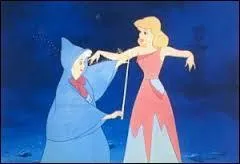 Que transforme-t-elle en carrosse ?