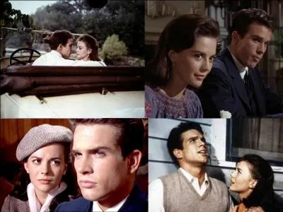 C'est un drame romantique américain de 1961, il a été réalisé par Elia Kazan.
Natalie Wood, Warren Beatty, Pat Hingle, Audrey Christie font partie de la distribution. 
Un jeune couple ne peut se marier. Le jeune homme doit aller à l'université et succombe à une autre jeune fille. Son « ex » tente de se suicider. La crise de 1929 arrive.
Quel est ce film ?