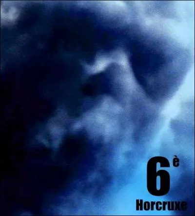 Cet amour fit bouclier ; le maléfice de Tom se retourna contre lui ; Jedusor fût tué ; une partie de son âme s'accrocha au seul corps encore en vie...