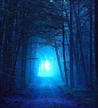 Voldemort survit grâce à sa panoplie d'Horcruxes. Il laisse son cadavre dans le salon des Potter et son esprit se réfugie en Albanie... Qui s'attend à le voir de retour ?