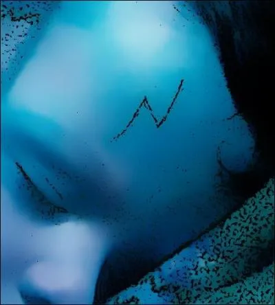 Tandis qu'Harry est porté en héros, l'esprit de Voldemort rumine et prépare déjà son retour. Voici les objectifs qu'il se fixe...