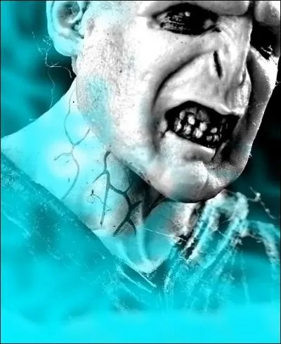 « J'ai entrepris diverses expériences, j'ai repoussé les limites de la magie plus loin peut-être que personne avant moi », affirme-t-il. Son physique a-t-il changé ?