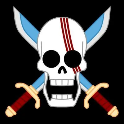 À quel équipage appartient ce pavillon ?