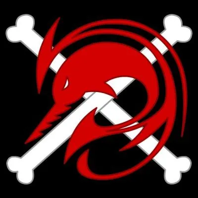 À quel équipage appartient ce pavillon ?