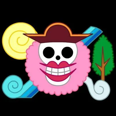 À quel équipage appartient ce pavillon ?