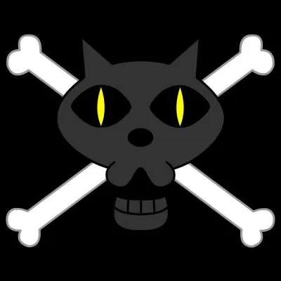 À quel équipage appartient ce pavillon ?