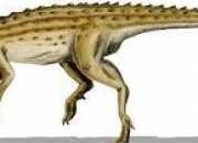 Quiz Des dinosaures (8) - Le scutellosaurus