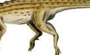 Quiz Dinosaures