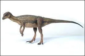 Ses dents n'étaient pas usées, donc...