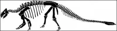 Le scutellosaurus était :