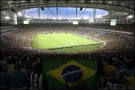 Dans quel stade s'est déroulée la finale de la coupe du monde 2014 ?