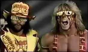 La taille de ces catcheurs est...