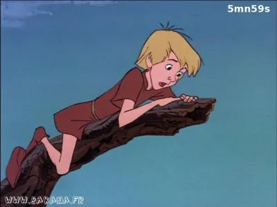 Le jeune Arthur et l'enchanteur Merlin, son mentor, sont...