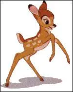 Le jeune faon Bambi, devenu cerf par la suite, a beau vivre dans une forêt totalement imaginaire, le personnage a malgré tout des origines réelles. S'il existait dans notre monde, Bambi serait...