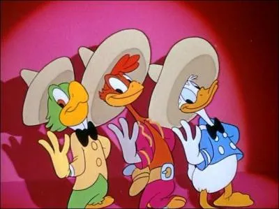 Les trois Caballeros, Donald Duck, José Carioca et Panchito Pistoles, ont des origines variées. Retrouvez-les.
