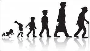 Qui a dit cela ? « Je voudrais bannir les pompes funèbres : il faut pleurer les hommes à leur naissance, et non pas à leur mort »