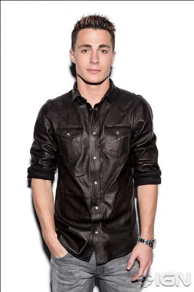 Qui joue le rôle de Roy Harper ?