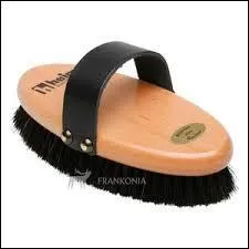 Comment s'appelle cette brosse ?