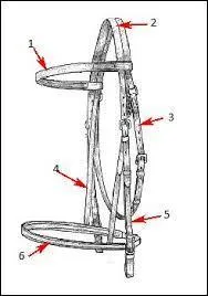 Quelle est la partie n°3 du filet ?