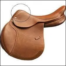 Quelle est la partie entourée de la selle ?