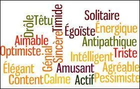 Le caractère d'une personne est composé de ses qualités et défauts. C'est aussi...