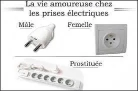 Il est un bon conducteur... électrique ou fait partie d'une famille d'instruments.