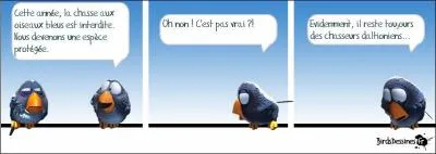 On le considère parfois bleu de...