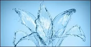 Qui a osé couper ___ chaude ?