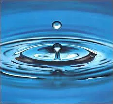 Cette poupée est MON ___, bande de scarabées à lunettes !