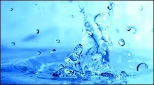 Les ___ doivent êtres remis aux CM1.