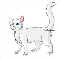 On commence avec le plus "célèbre" des chats blancs, Flocon de Neige. De quelle couleur sont ses yeux ?