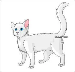 Pour finir, Flocon de Neige est à l'origine...