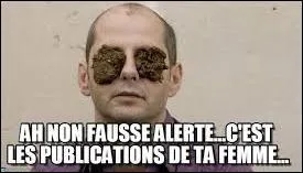 Je savais bien qu'elle avait plusieurs comptes, c'était évident, il fallait vraiment ____________ pour ne pas les voir.