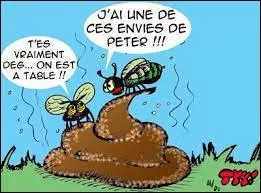 Laquelle de ces femmes a dit : Des fois on croit qu'on tourne une merde et c'est un chef-d'oeuvre. Des fois on croit qu'on tourne une merde, et c'est une merde. ?