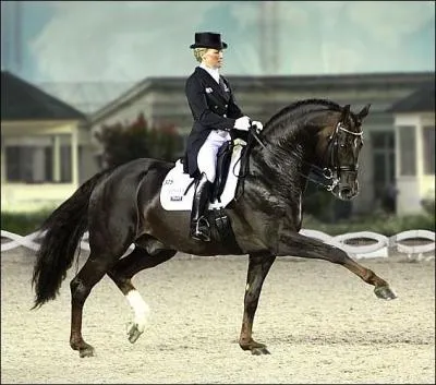 Quelle est cette discipline équestre ?