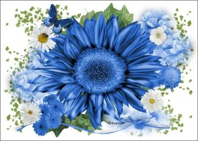 Agacer, faire enrager, asticoter :