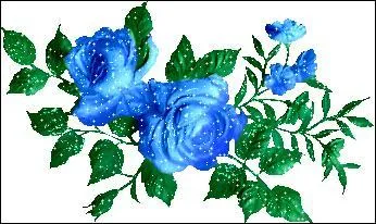 Dans la cuisine mexicaine, galette de maïs garnie de mets épicés :