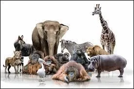 Dans le film, son épouvantard est un serpent. En revanche, dans le livre, c'est une momie. De qui s'agit-il ?