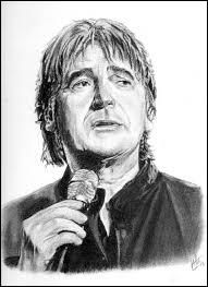 quel chanteur je suis