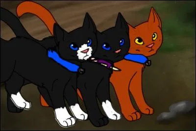 Comment s'appellent-ils, lui, son frère et sa sur ?